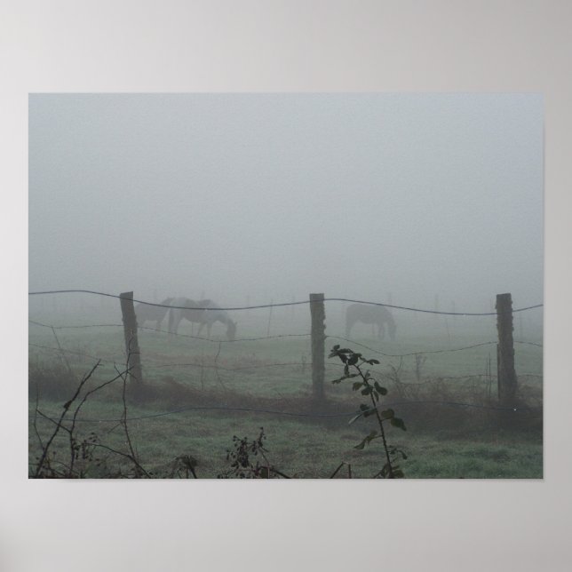 Horses In Morning Fog Poster (Front)