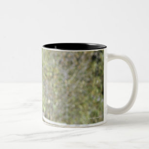 Horses in pasture Two-Tone coffee mug