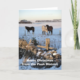 Horses-in-snow card