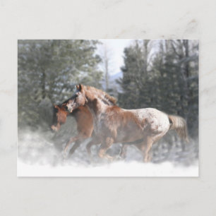 Horses in Snow Christmas Postcard