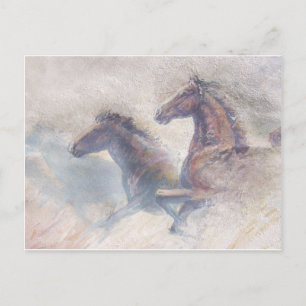 Horses In Stampede Postcard