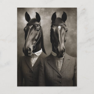 Horses in Suits Black and White Postcard