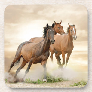 Horses In Sunset Coaster