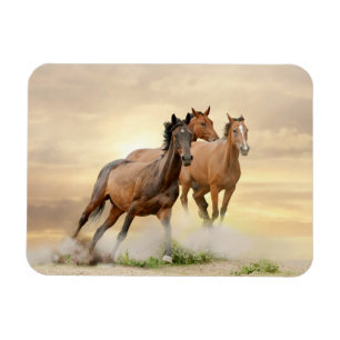 Horses In Sunset Magnet