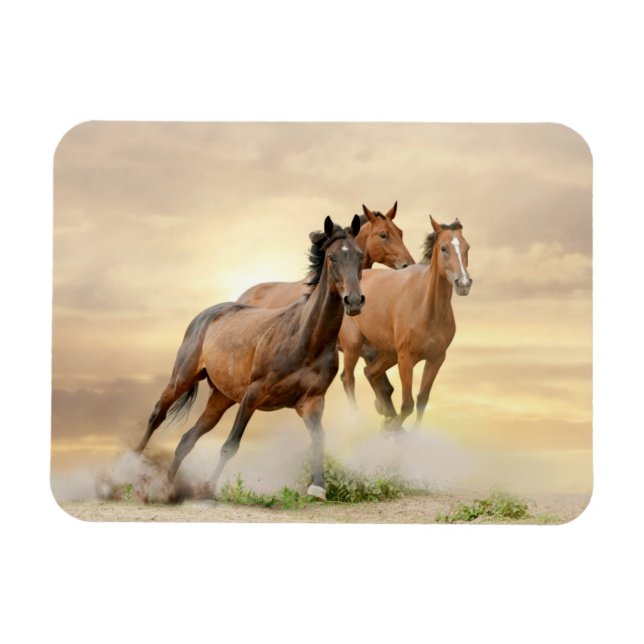Horses In Sunset Magnet (Horizontal)