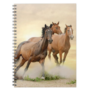 Horses In Sunset Notebook