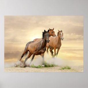 Horses In Sunset Poster