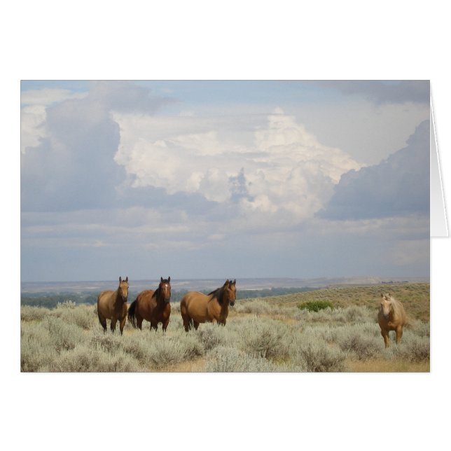 Horses in the American West (Front Horizontal)
