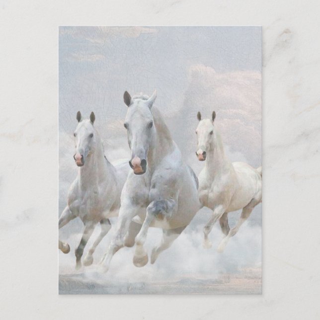 Horses in the clouds  postcard (Front)