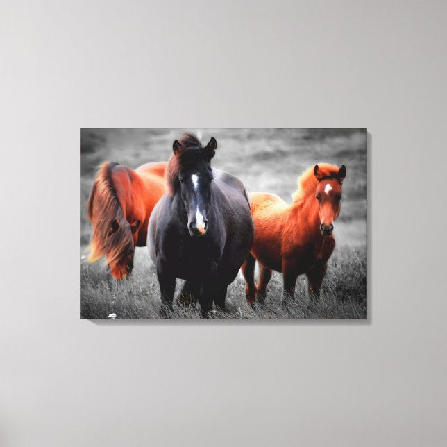 Horses In The Field Partial Colour Photography Canvas Print (Front)