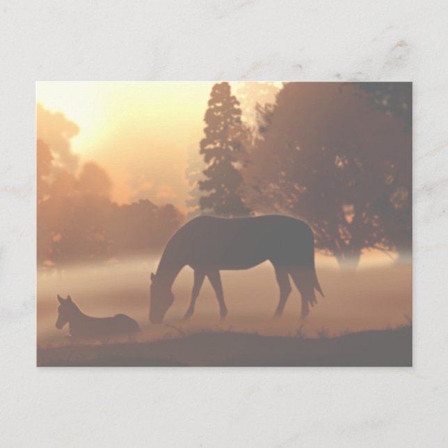 Horses in the Morning Fog2 Postcard (Front)