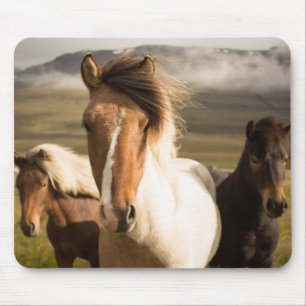 Horses in the Mountains Beautiful and Majestic Mouse Pad