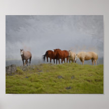 Horses in the Pasture