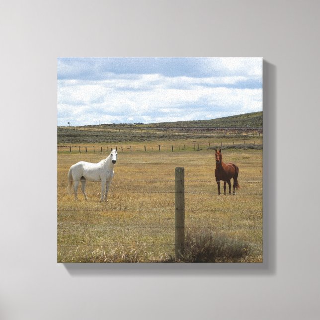 Horses in Wyoming Canvas Print (Front)
