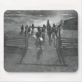 Horses into the corral mouse pad