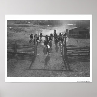 Horses into the corral poster