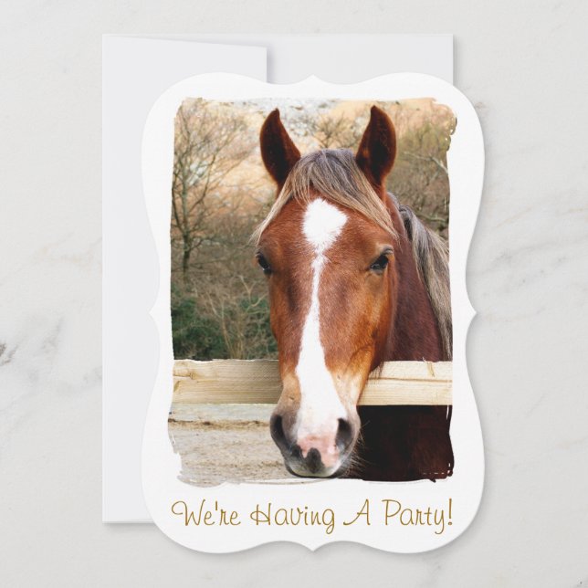 HORSES INVITATION (Front)