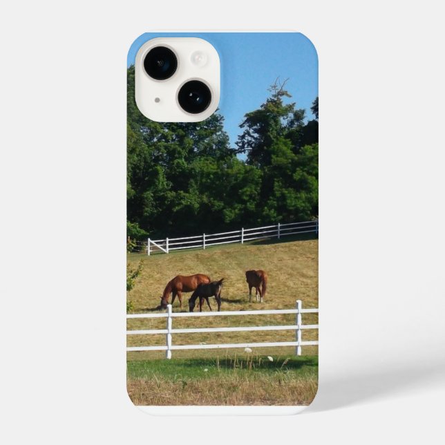 Horses iPhone Case (Back)