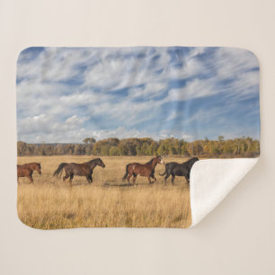 Horses Just Outside Grand Teton National Park Sherpa Blanket