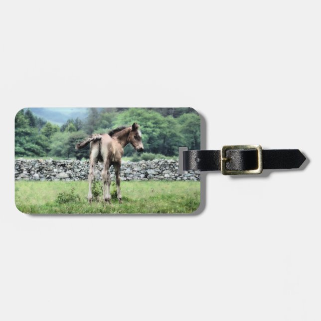 HORSES LUGGAGE TAG (Front Horizontal)