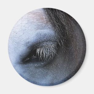 HORSES MAGNET