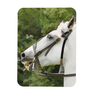 HORSES MAGNET