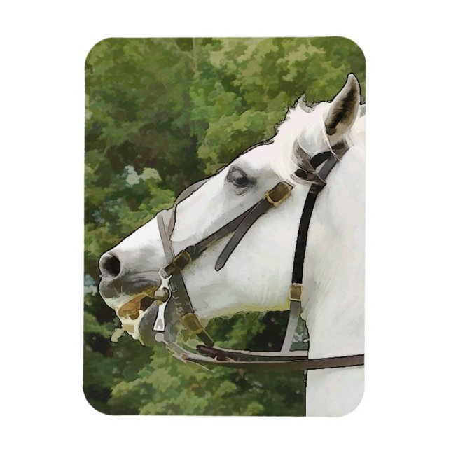 HORSES MAGNET (Vertical)
