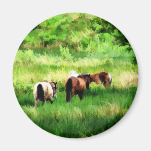 HORSES MAGNET
