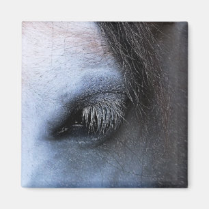 HORSES MAGNET
