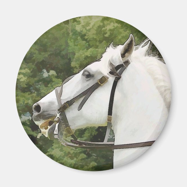 HORSES MAGNET (Front)