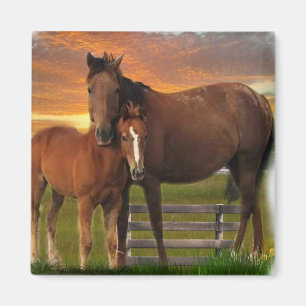 Horses Magnet