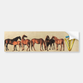 HORSES /MARES AND FOALS CADUCEUS VETERINARY SYMBOL BUMPER STICKER