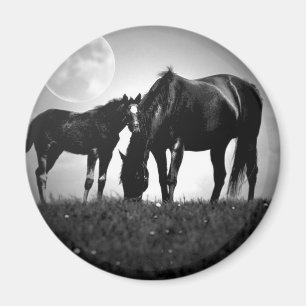 Horses & Moon Magnet