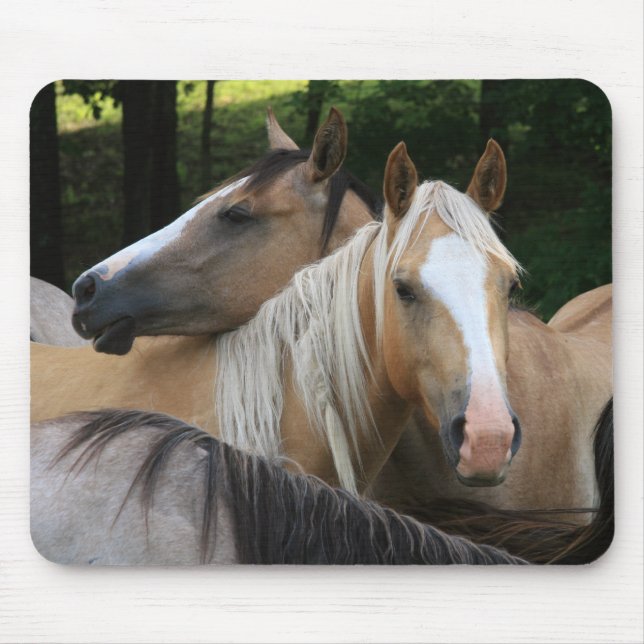 Horses mouse pad (Front)