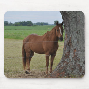 Horses Mouse Pad