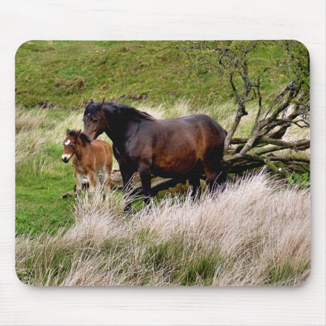 HORSES MOUSE PAD (Front)