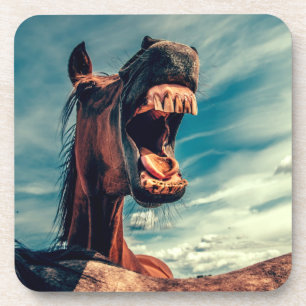 Horse's Mouth Teeth Neigh Wild Horse Animal Coaster