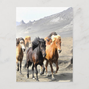 Horses moving to success postcard