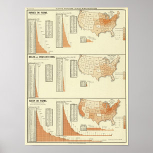 Horses, mules, asses, sheep poster