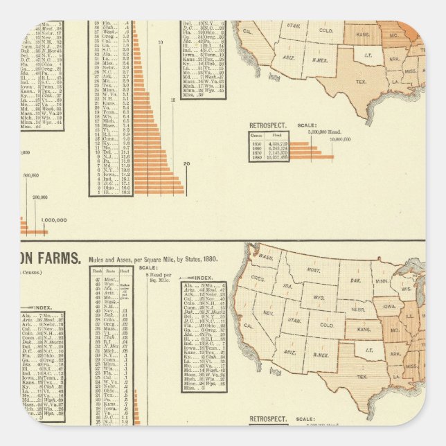 Horses, mules, asses, sheep square sticker (Front)