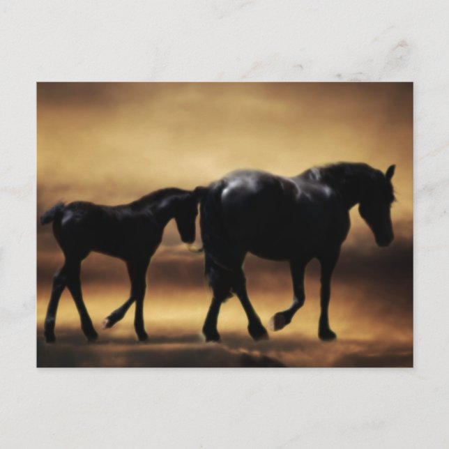 Horses mum and I Postcard (Front)