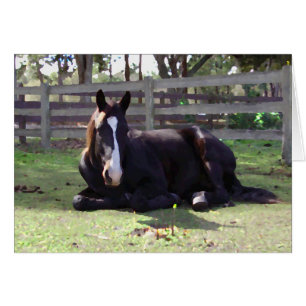 Horses' Nap Time