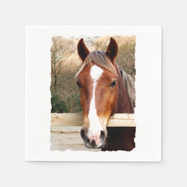 HORSES NAPKIN (Front)