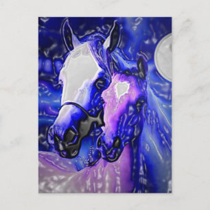 Horses & Night Postcard