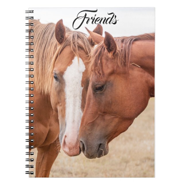 Horses nuzzling in a pasture notebook (Front)