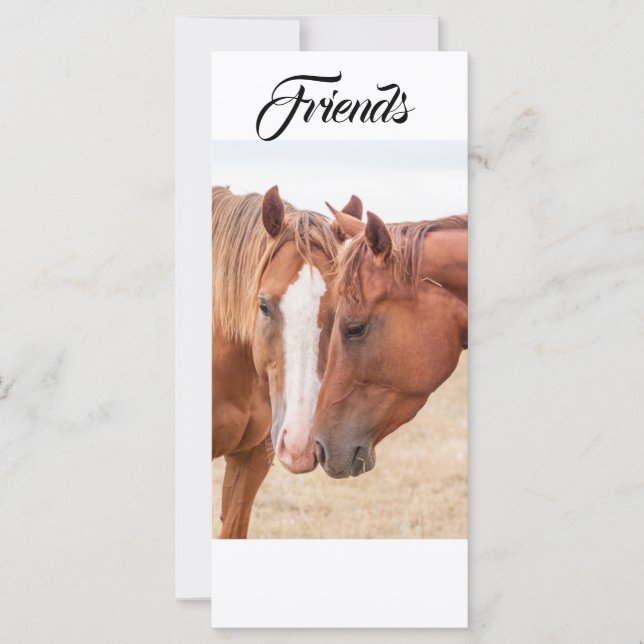 Horses nuzzling in a pasture place card (Front)