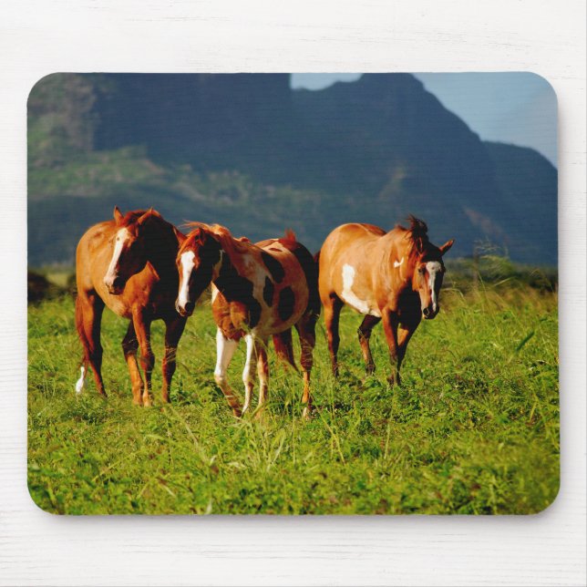 Horses of Kauai Mouse Pad (Front)