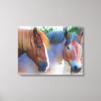 Horses Oil painting Canvas Print