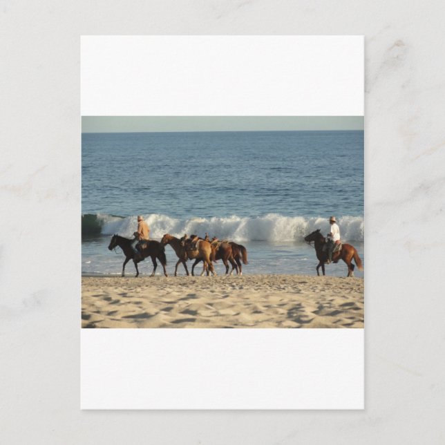 Horses on Beach Postcard (Front)