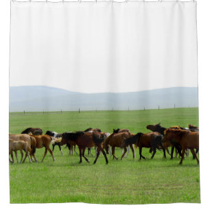 Horses on Grassland - Landscape Photograph Shower Curtain